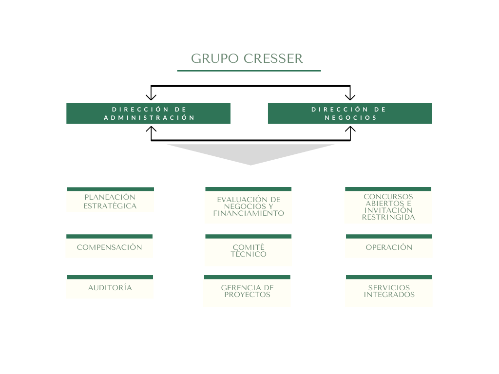 organigrama